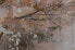 Фото #10 товара Acrylbild handgemalt Stag in the Brume