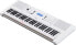 Фото #2 товара Yamaha EZ-300 Digital Keyboard, White, Portable Learning Keyboard with USB-to-Host Connection, Keyboard with 61 Velocity-Dynamic Light Keys & M-Audio SP-2 - Universal Sustain Pedal with Piano Style