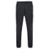 Фото #2 товара LE COQ SPORTIF 2321010 Training Sp Regular N°3 sweat pants