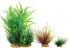 Фото #1 товара Декорации для аквариума Zolux Растения PlantKit Wiha модель 2.