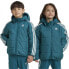 Фото #1 товара ADIDAS ORIGINALS Adicolor Padded Jacket