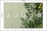 Фото #10 товара Fototapete BLÄTTER Oliven Pflanzen Natur