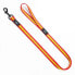 BULL Ramal España Leash