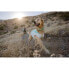 ფოტო #30 პროდუქტის RUFFWEAR Swamp Cooler™ Dog Jacket