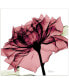 Chianti Rose I Frameless Free Floating Tempered Glass Panel Graphic Wall Art, 24" x 24" x 0.2"