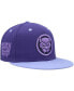 Men's Purple Black Panther Fitted Hat