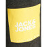 JACK & JONES Gordon Jilock Sweat Pants