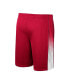 Фото #4 товара Men's Cardinal Arkansas Razorbacks Lazarus Shorts