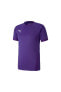 Фото #5 товара Футболка мужская PUMA 704171 Teamgoal 23 Jersey