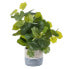 Фото #1 товара Искусственное декоративное растение BB Home Цемент PEVA Листья 11,5 x 11,5 x 39 см