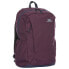 TRESPASS Alder 25L backpack