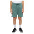 Фото #1 товара DICKIES Youth Mapleton sweat shorts