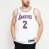 Фото #4 товара Майка для баскетбола Nike NBA SW 2 AA7101-100, белая - Лос-Анджелес Лейкерс.