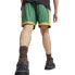 Фото #2 товара PUMA SELECT T7 For The Fanbase M shorts