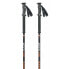 MASTERS Skitour Poles