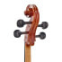 Gewa Allegro VC1 Cello Set 4/4 MB