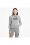 ESS Logo Hoodie TR Light Gray Heather