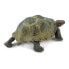 SAFARI LTD Desert Tortoise Figure