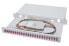 Фото #3 товара DIGITUS Fiber Optic Sliding Splice Box, 1U, Equipped, LC, OM4