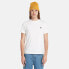 ფოტო #1 პროდუქტის TIMBERLAND Basic Jersey Slim short sleeve T-shirt 3 units