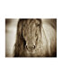 Lisa Dearin Mustang Sally Horse Canvas Art - 36.5" x 48"