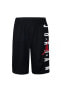 Jordan Jdb Jordan Vert Mesh Short Erkek Çocuk Şort 857176-023