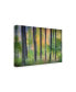 Фото #2 товара Burger Jochen Dreamy Tree Foliage Canvas Art - 20" x 25"