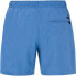 PROTEST Davey Swimming Shorts