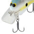 Shimano Sexy Shad MACBETH 50 Crankbait (MB50XS) Fishing