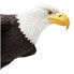 Фото #3 товара SAFARI LTD Bald Eagle Figure