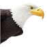 SAFARI LTD Bald Eagle Figure