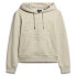 Фото #1 товара SUPERDRY Embossed Vl Graphic hoodie