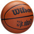 Фото #2 товара Basketball ball Wilson NBA Jr DRV Fam Logo Ball WZ3013001XB