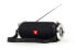 Gembird SPK-BT-17 portable Bluetooth speaker with FM-radio black - Speaker
