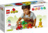 Фото #44 товара LEGO 10982 DUPLO My First Fruit and Vegetable Tractor, Sorting and Stacking Toy for Babies and Toddlers Aged 1 and 10981 DUPLO My First Growing Carrot