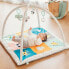 Фото #4 товара EUREKAKIDS Baby gym and play mat with 3 dolls included