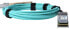 Фото #5 товара BlueOptics 00MP566-BO - 50 m - QSFP28 - QSFP28 - Male/Male - Turquoise - 100 Gbit/s