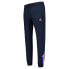 Фото #3 товара LE COQ SPORTIF 2320467 Tri Slim N°1 sweat pants