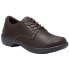 Фото #2 товара Eastland Pandora Lace Up Womens Brown Flats Casual 2152-12