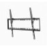 Wall Bracket GEMBIRD WM-70T-03 37"