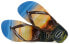 Фото #1 товара Тапочки Havaianas 4127920-0154