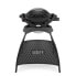 Фото #1 товара WEBER Q 1000 With Stand Gas Grill