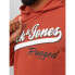 Фото #5 товара JACK & JONES Logo 2 Col Plus Hoodie