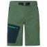 Фото #3 товара VAUDE Badile Shorts