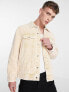 Фото #1 товара Weekday milton oversized washed cord jacket in cream