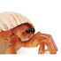 Фото #3 товара Фигурка Safari Ltd Hermit Crab Figure Wild Safari Sea Life (Дикая Сафари Жизнь в Море)