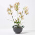 Фото #5 товара Искусственные цветы Homescapes Phalaenopsis-Orchidee в белом цвете 62 см