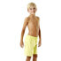Фото #3 товара Плавательные шорты Speedo Challenge 15´´ для мальчиков