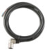 Фото #1 товара HONEYWELL VM1055CABLE - Black - Cable - Current / Power Supply