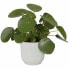 Горшок для цветов elho Plant pot Circular 25 cm White Plastic